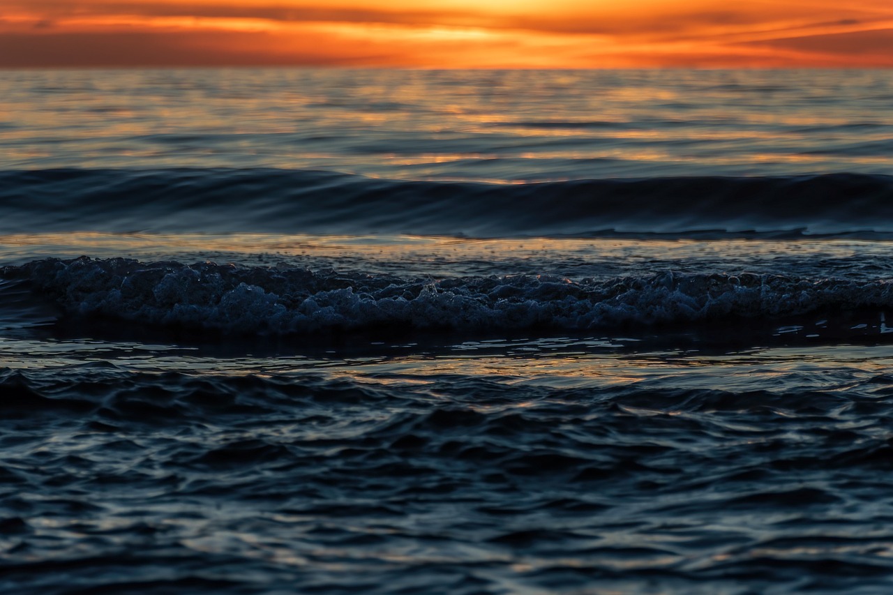 The roar of the world can be noisy; you can still it - Erik McCoy, Integrative Somatic Therapist